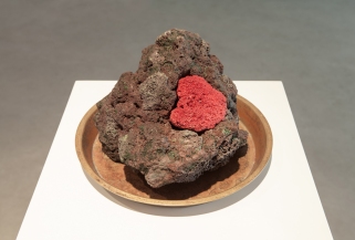 Volcanic Lover 2 2014 volcanic stone, corallite, copper (Image courtesy of Trevor Yeung)